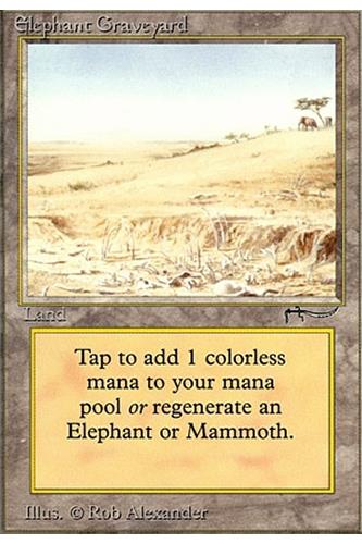 Elephant Graveyard
