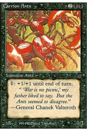 Carrion Ants