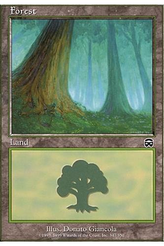 Forest
