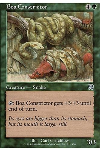 Boa Constrictor