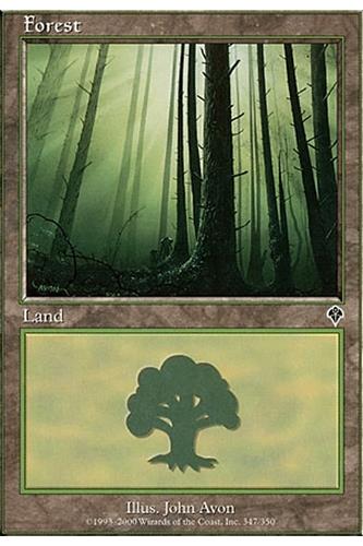 Forest
