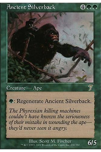 Ancient Silverback