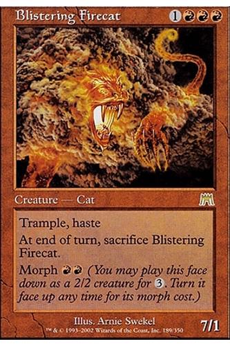 Blistering Firecat