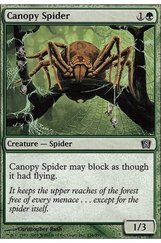 Canopy Spider