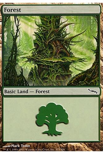 Forest