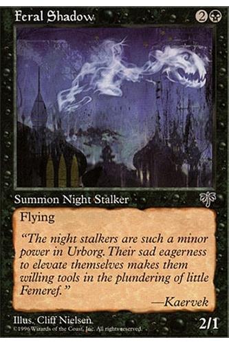 Feral Shadow