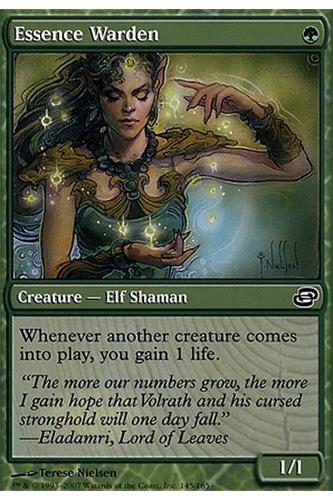 Essence Warden