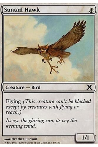 Suntail Hawk