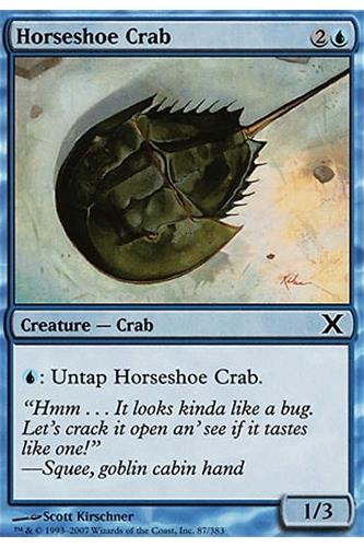 Horseshoe Crab