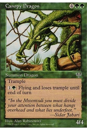 Canopy Dragon