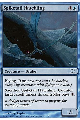 Spiketail Hatchling