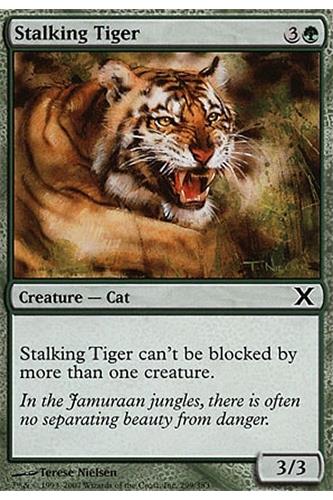 Stalking Tiger