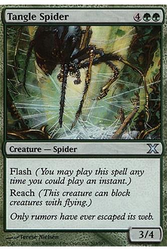 Tangle Spider