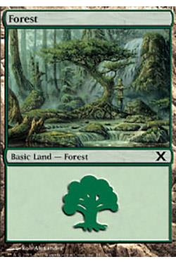Forest