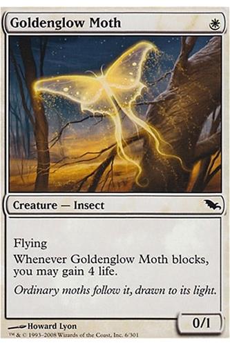 Goldenglow Moth