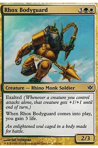 Rhox Bodyguard