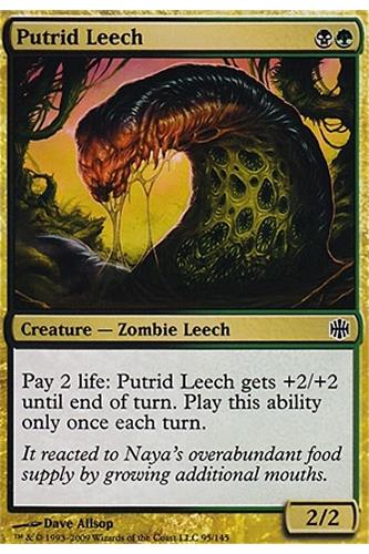 Putrid Leech