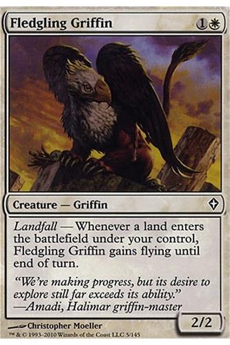 Fledgling Griffin