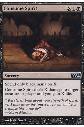 Consume Spirit Consume Spirit