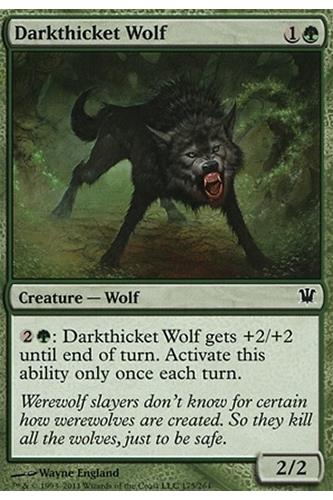Darkthicket Wolf