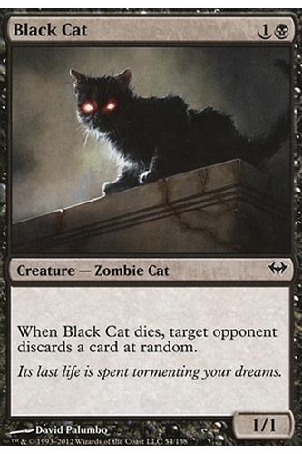 Black Cat