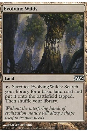 Evolving Wilds