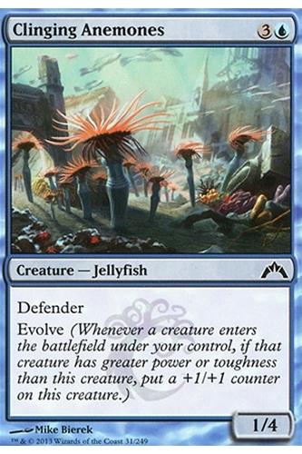 Clinging Anemones