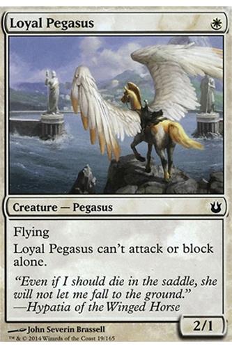 Loyal Pegasus Loyal Pegasus