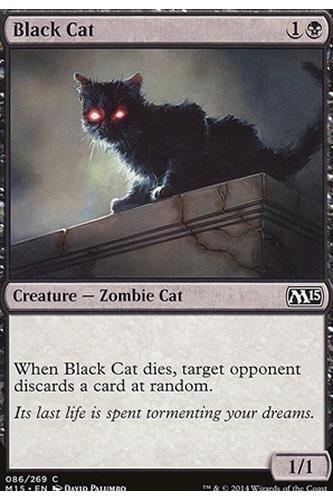 Black Cat