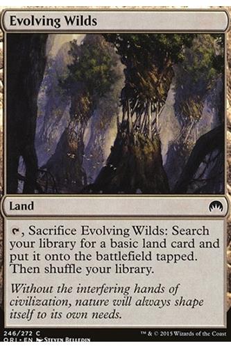 Evolving Wilds