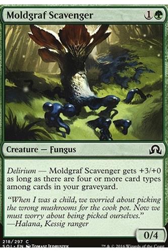 Moldgraf Scavenger