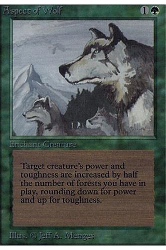 Aspect of Wolf