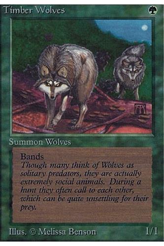 Timber Wolves