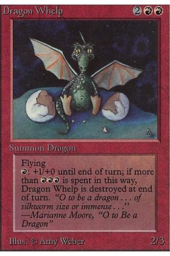 Dragon Whelp