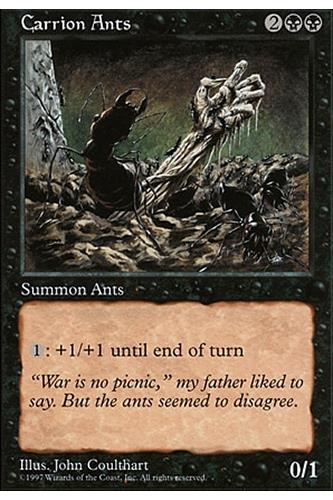 Carrion Ants