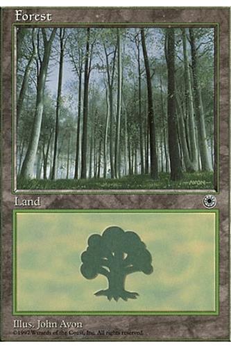 Forest