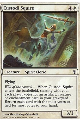 Custodi Squire