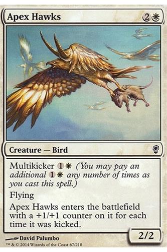 Apex Hawks