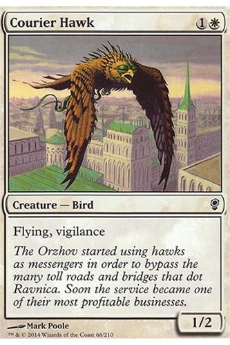 Courier Hawk