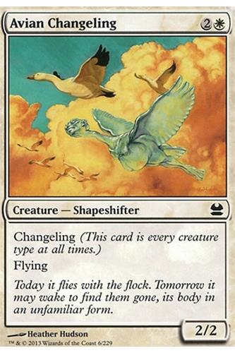 Avian Changeling