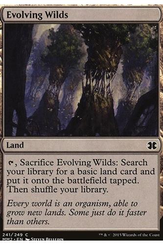 Evolving Wilds