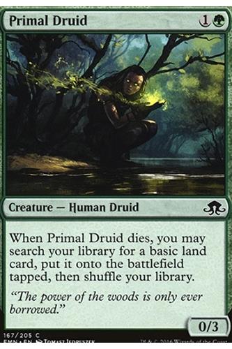Primal Druid