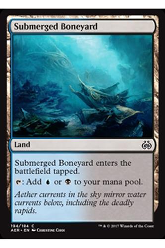 Submerged Boneyard