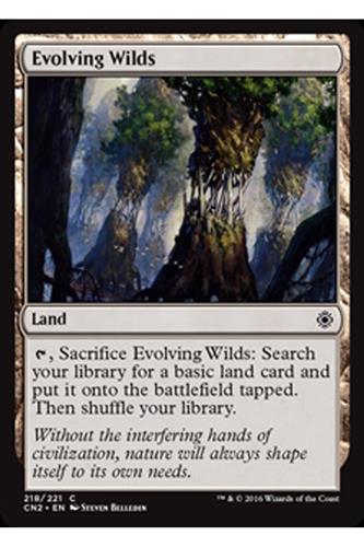 Evolving Wilds