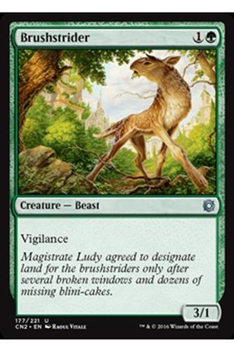 Brushstrider