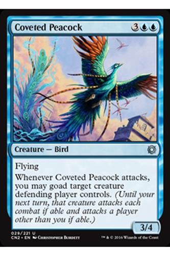 Coveted Peacock