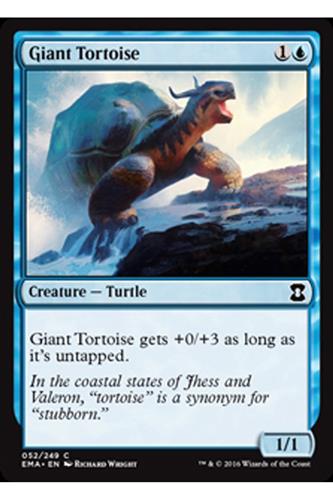Giant Tortoise