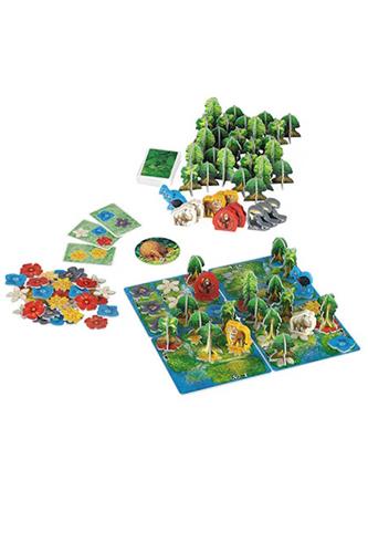 Hutan: Life in the Rainforest