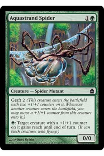 Aquastrand Spider