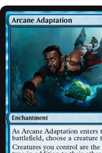 Arcane Adaptation